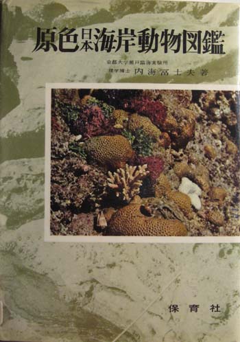 Image for Coloured Illustrations of Sea Shore Animals of Japan