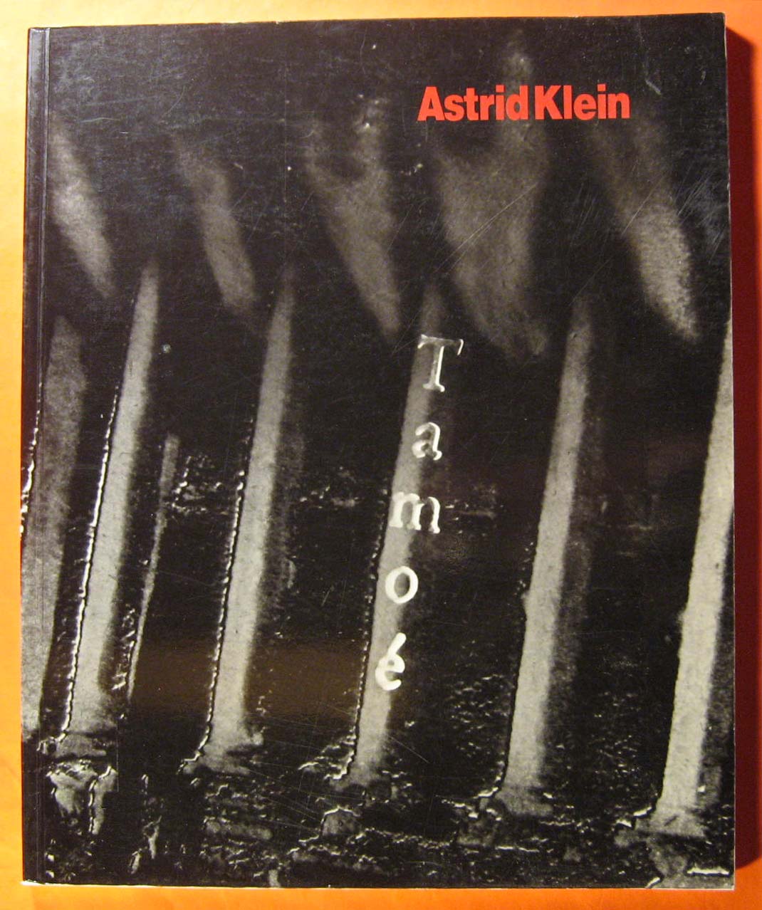 Image for Astrid Klein: Photoworks 1984-1989