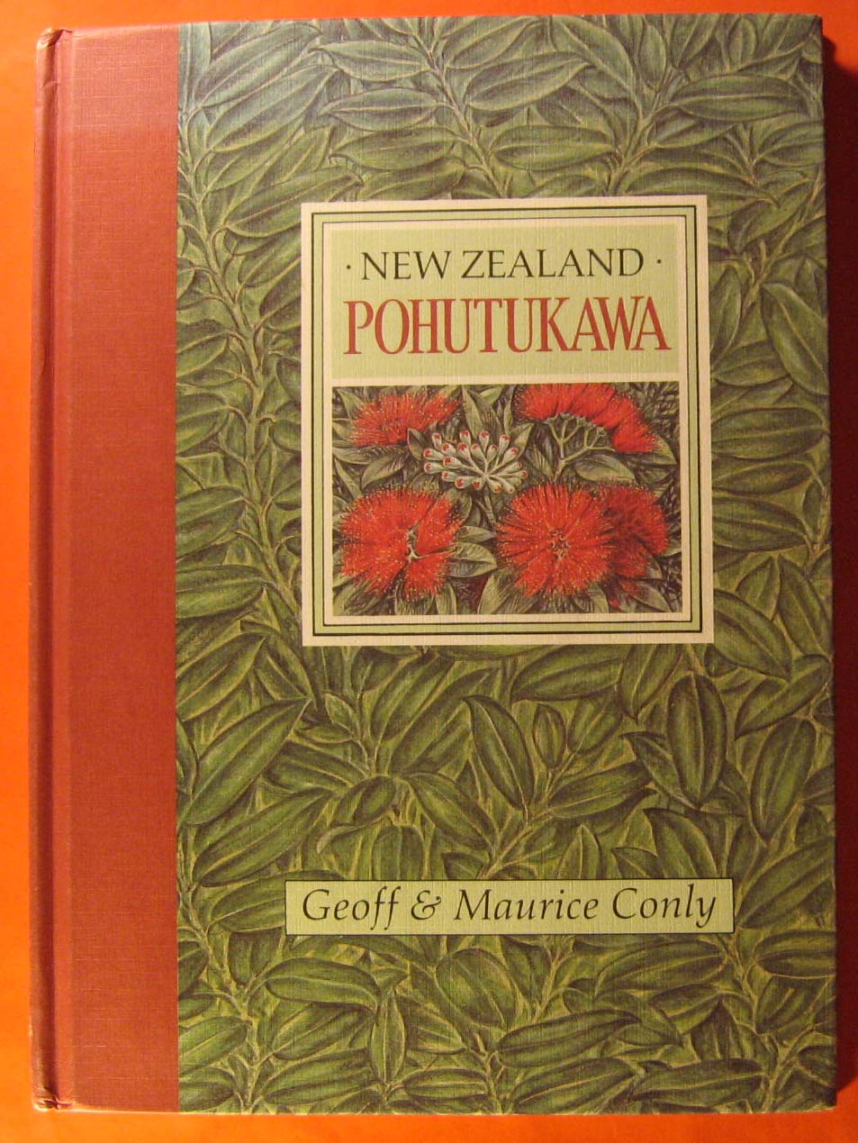 Image for New Zealand Pohutukawa