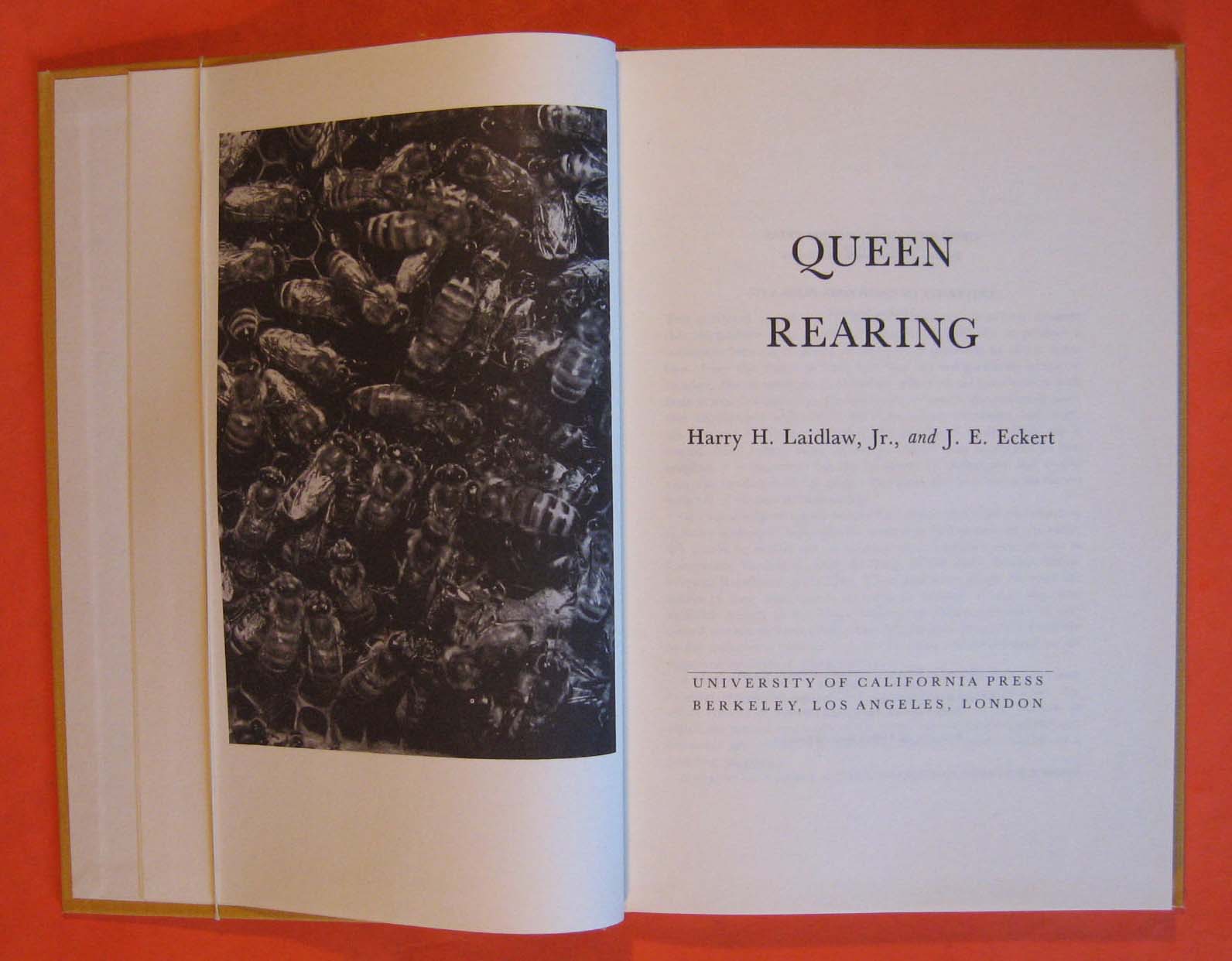 Image for Queen Rearing
