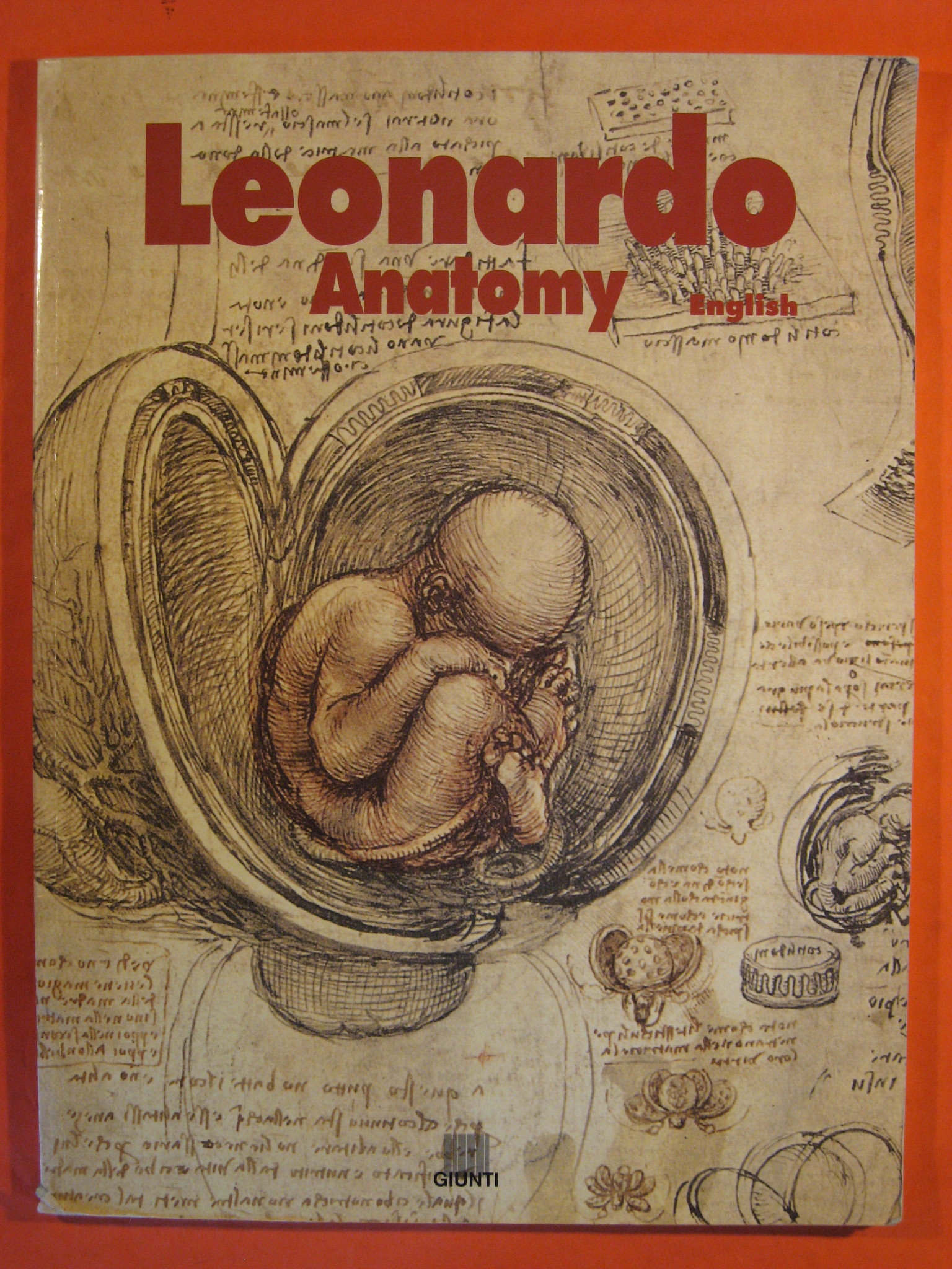 Leonardo Da Vinci Anatomy Of The Human Body