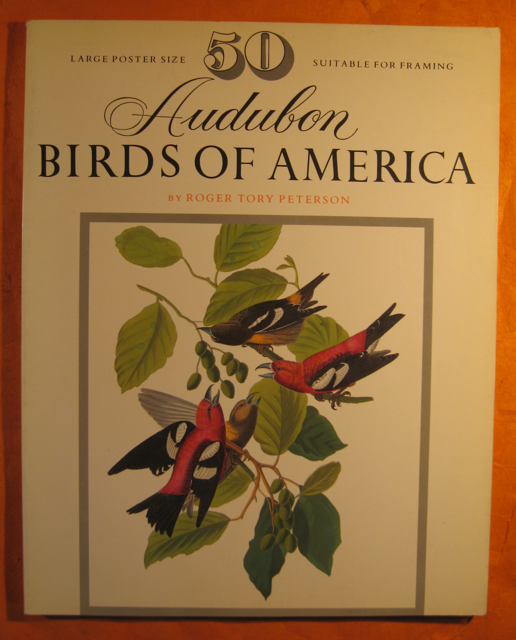 50 Audubon birds of America From the original double elephant Folio