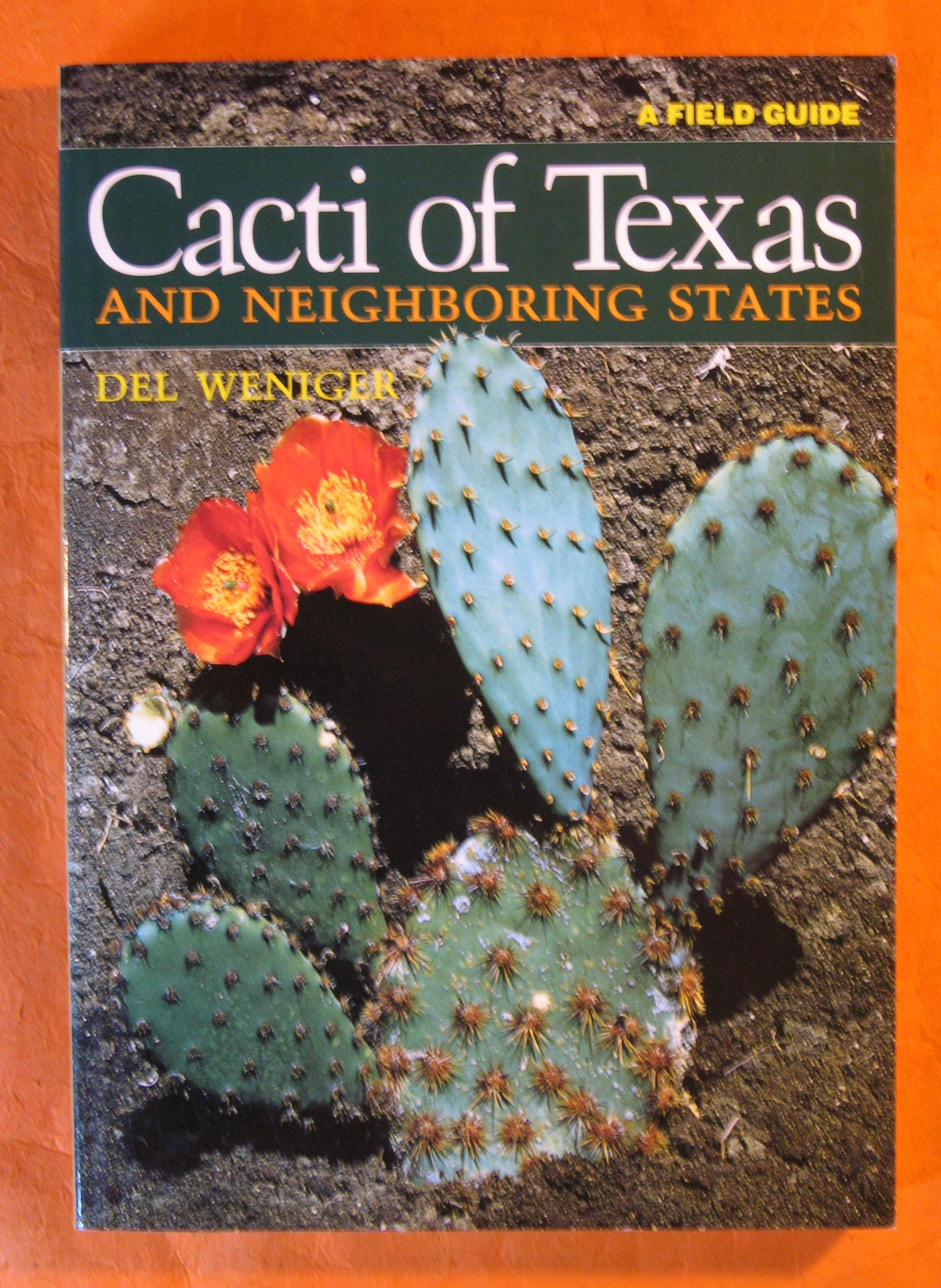 Cacti of Texas and Neighboring States A Field Guide