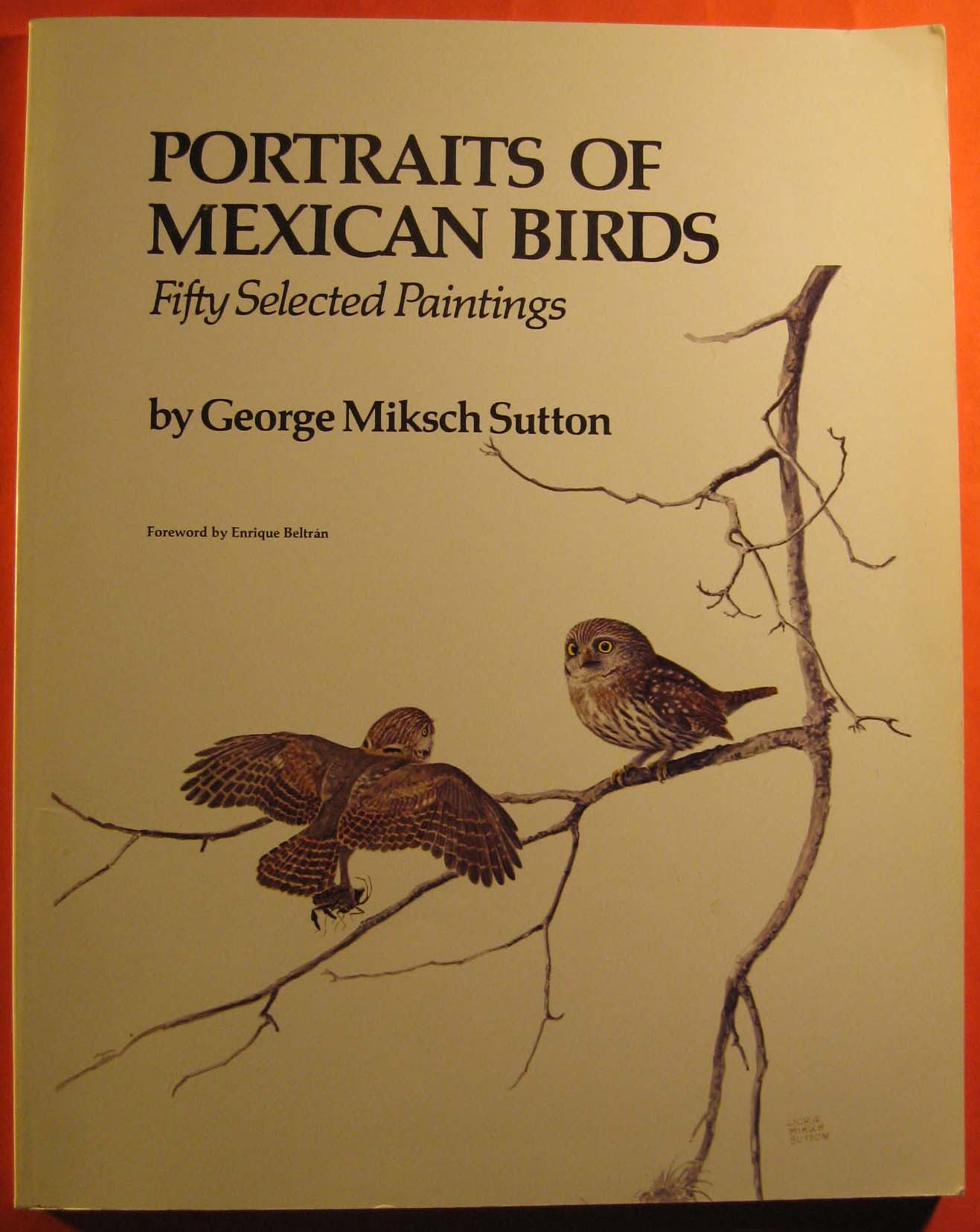 Image for Portraits of Mexican Birds: Fifty Selected Paintings