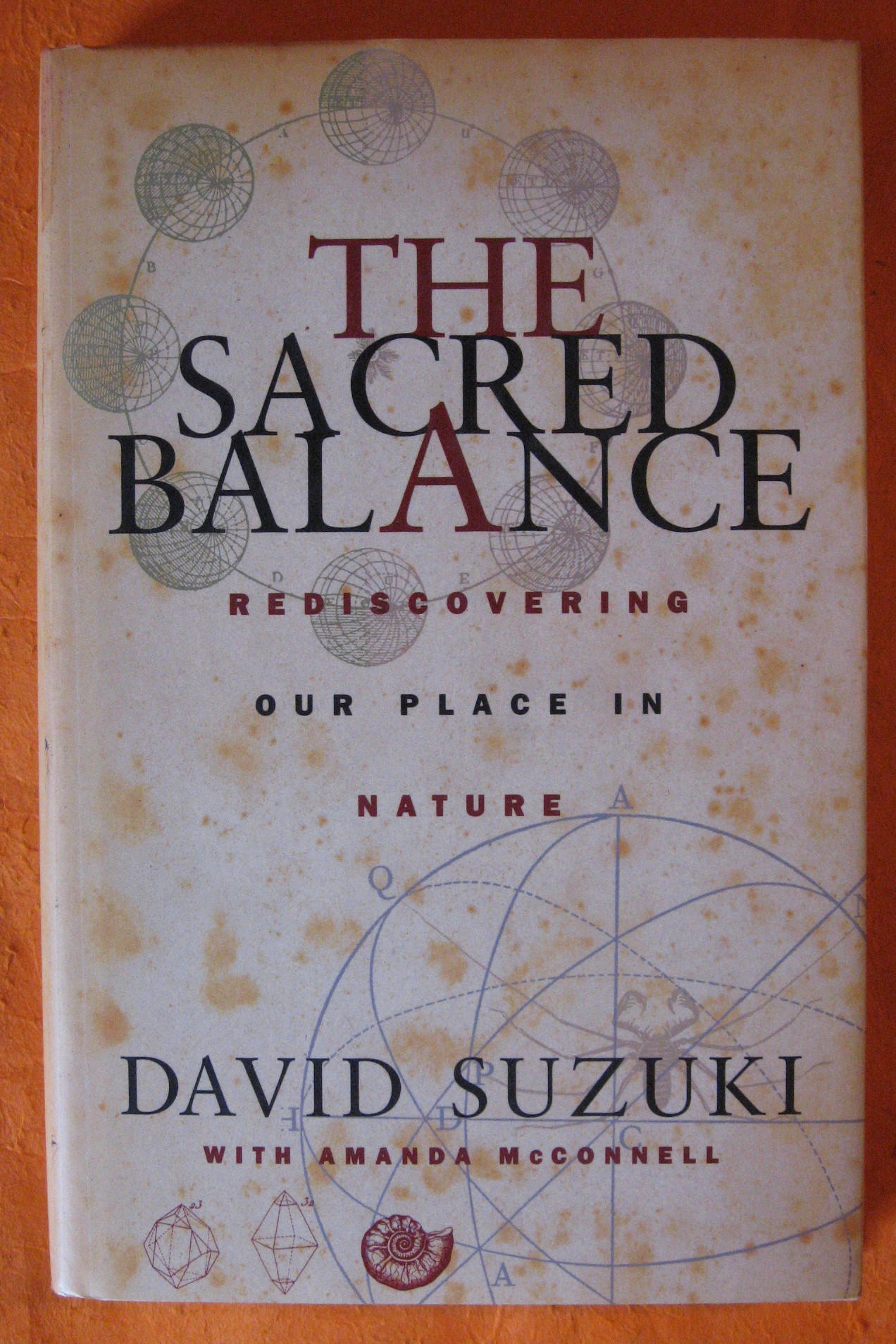 The Sacred Balance : Rediscovering Our in