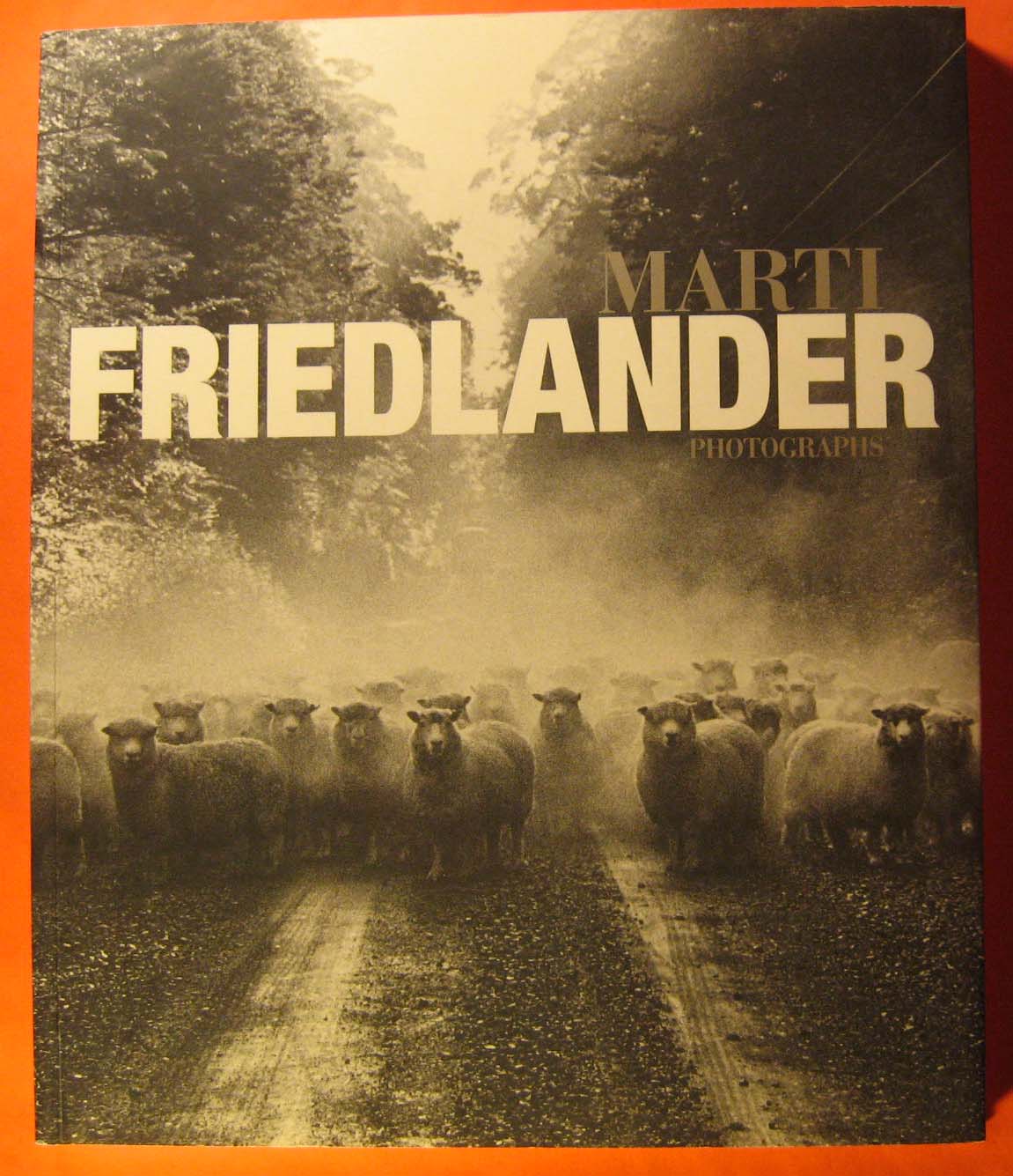 Image for Marti Friedlander