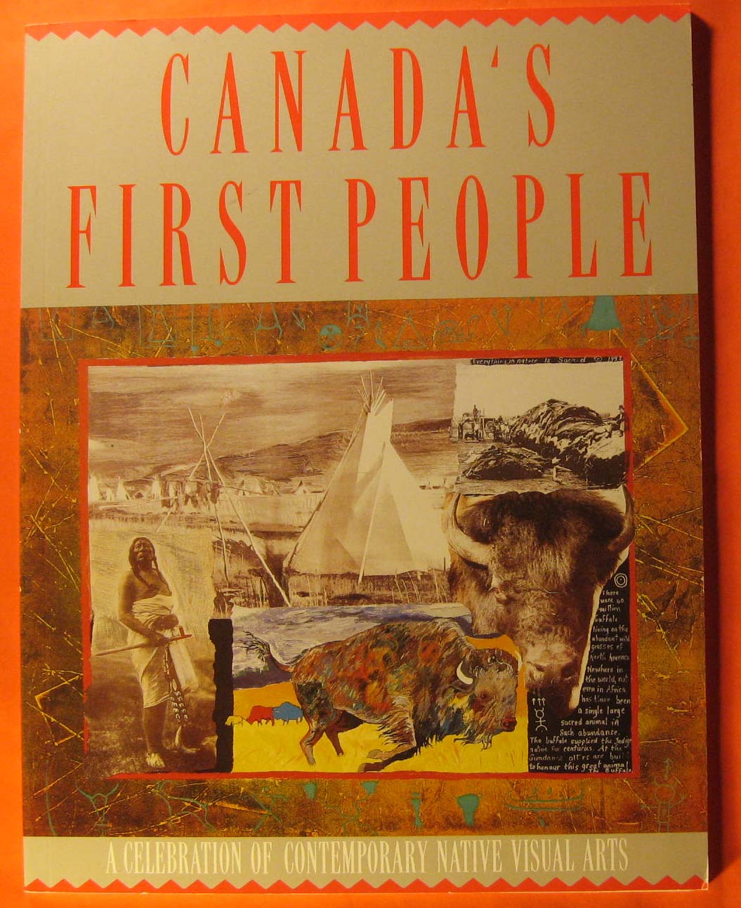 Image for Canada's first people : a celebration of contemporary native visual arts.