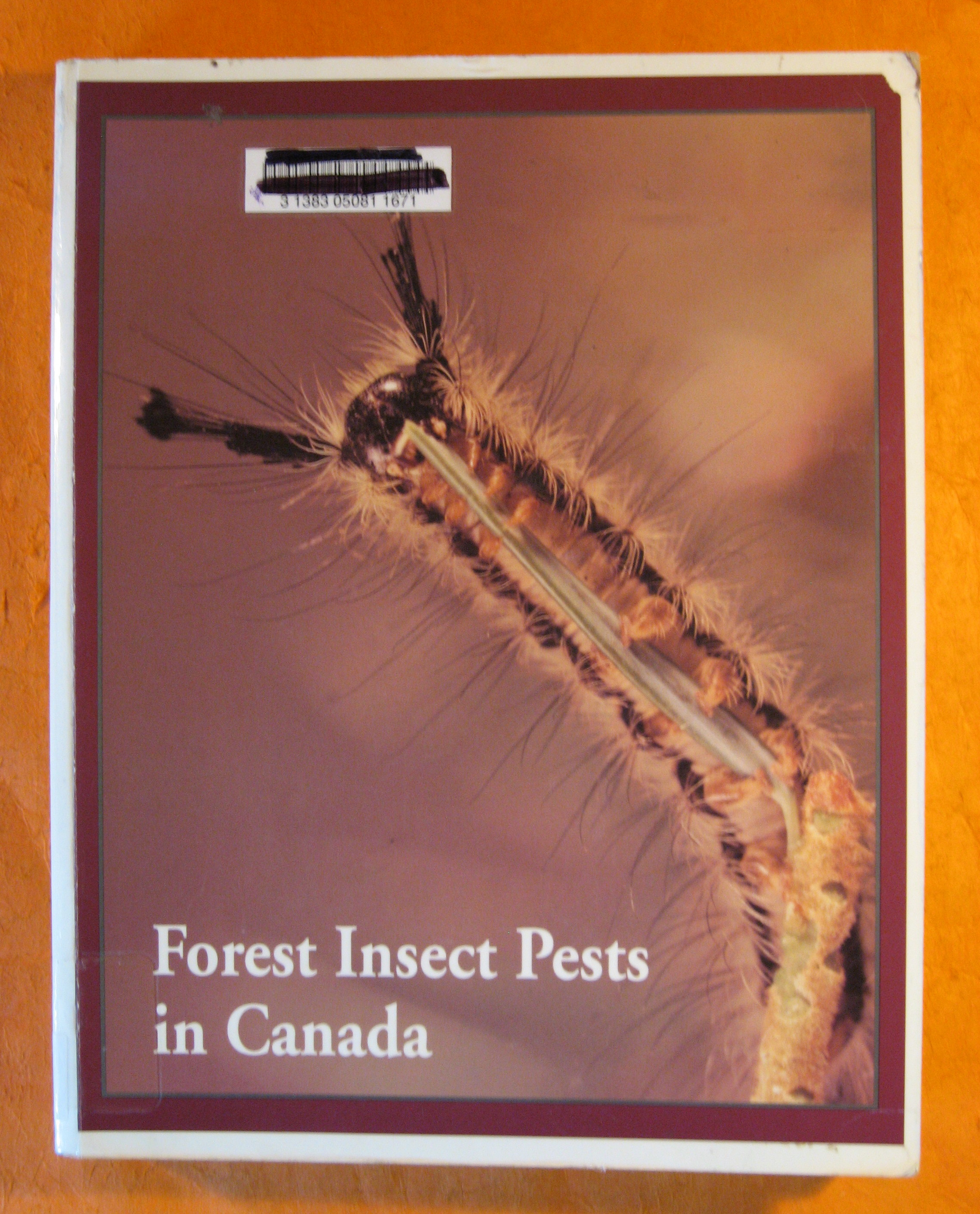 Image for Forest Insect Pests in Canada