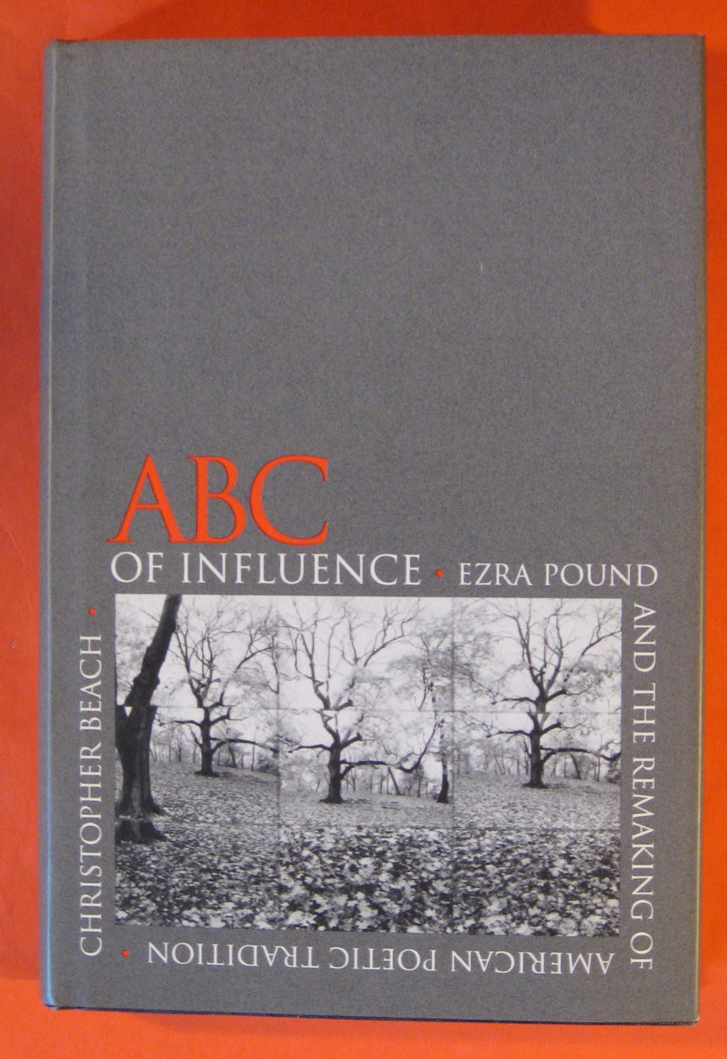 Image for ABC of Influence: Ezra Pound and the Remaking of American Poetic Tradition