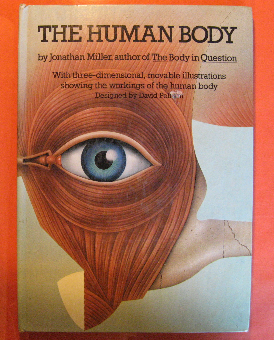 Image for The Human Body: With Three-Dimensional, Movable Illustrations Showing the Workings of the Human Body