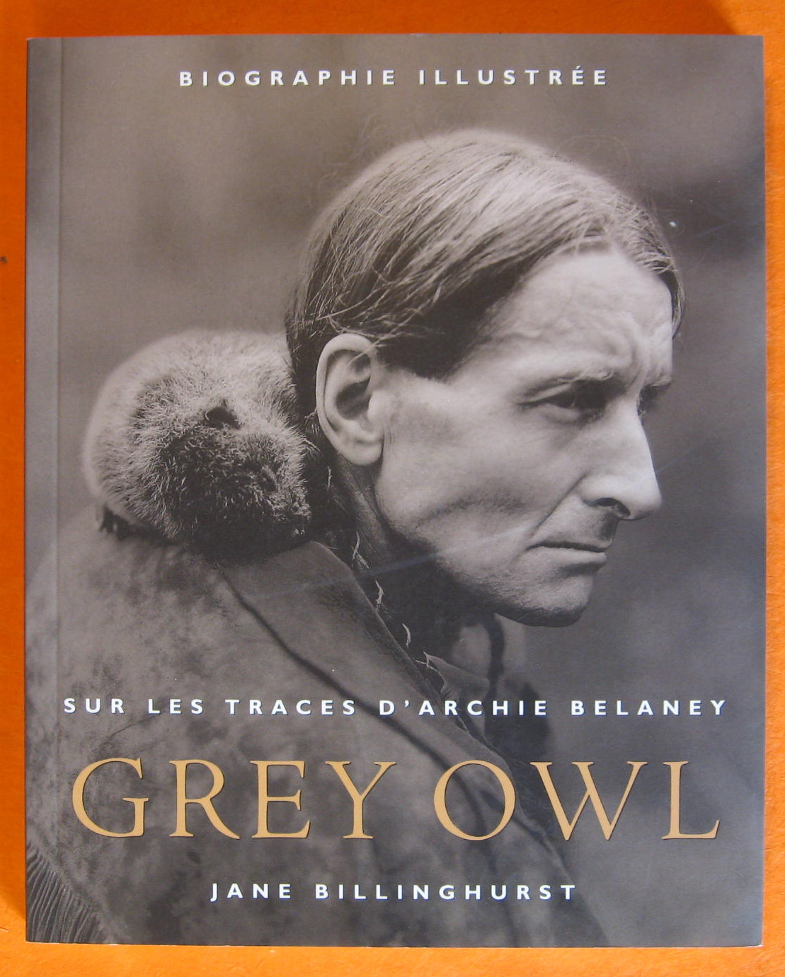 Image for Grey Owl : Les Nombreux Visages d'Archie Elaney
