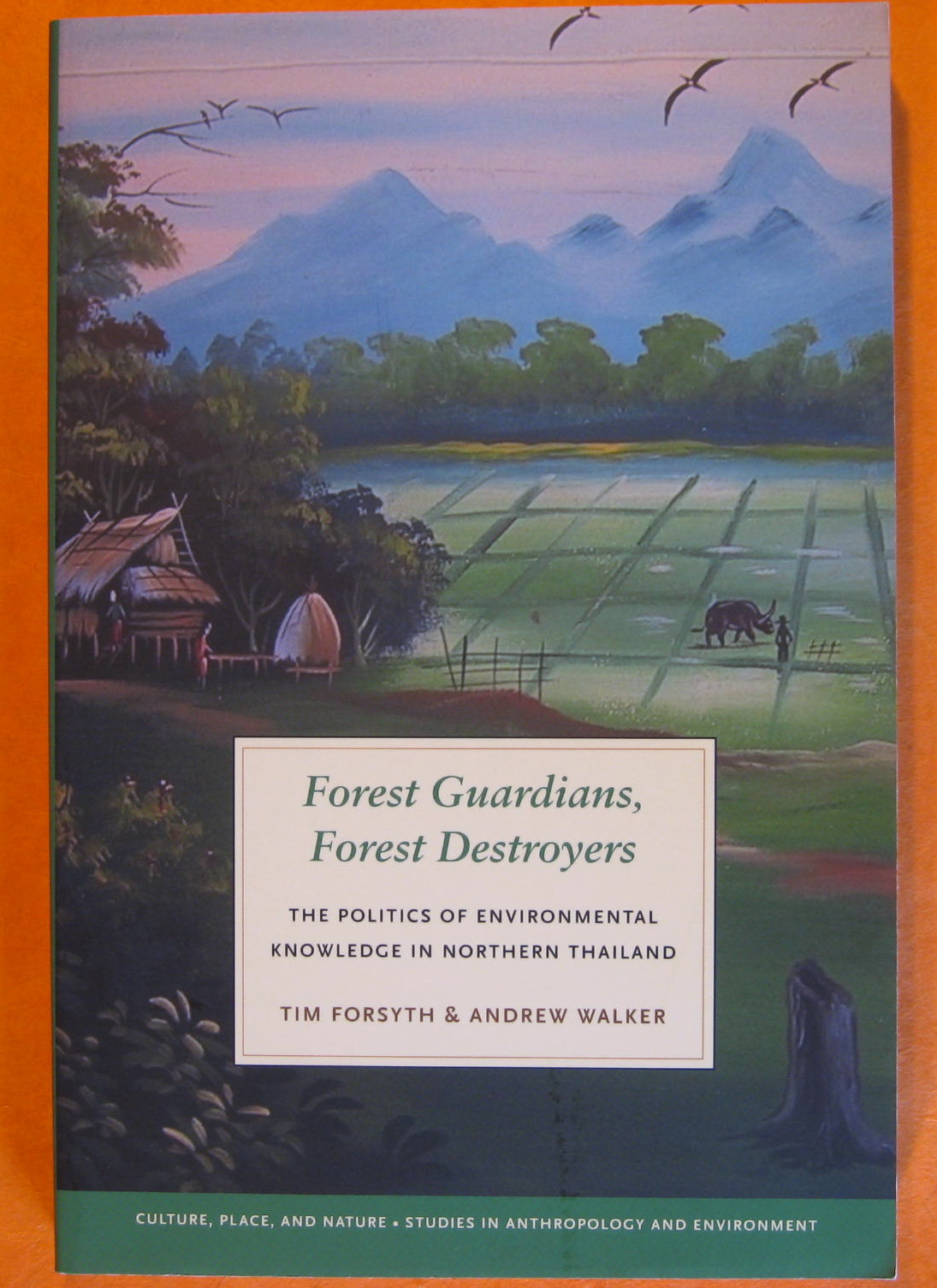 Image for Forest Guardians, Forest Destroyers: The Politics of Environmental Knowledge in Northern Thailand