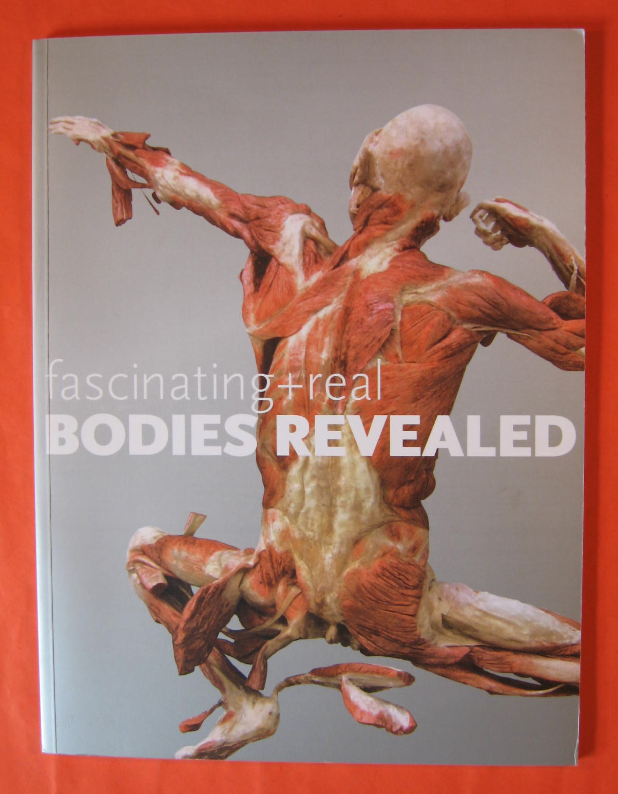 Image for Fascinating + Real Bodies Revealed