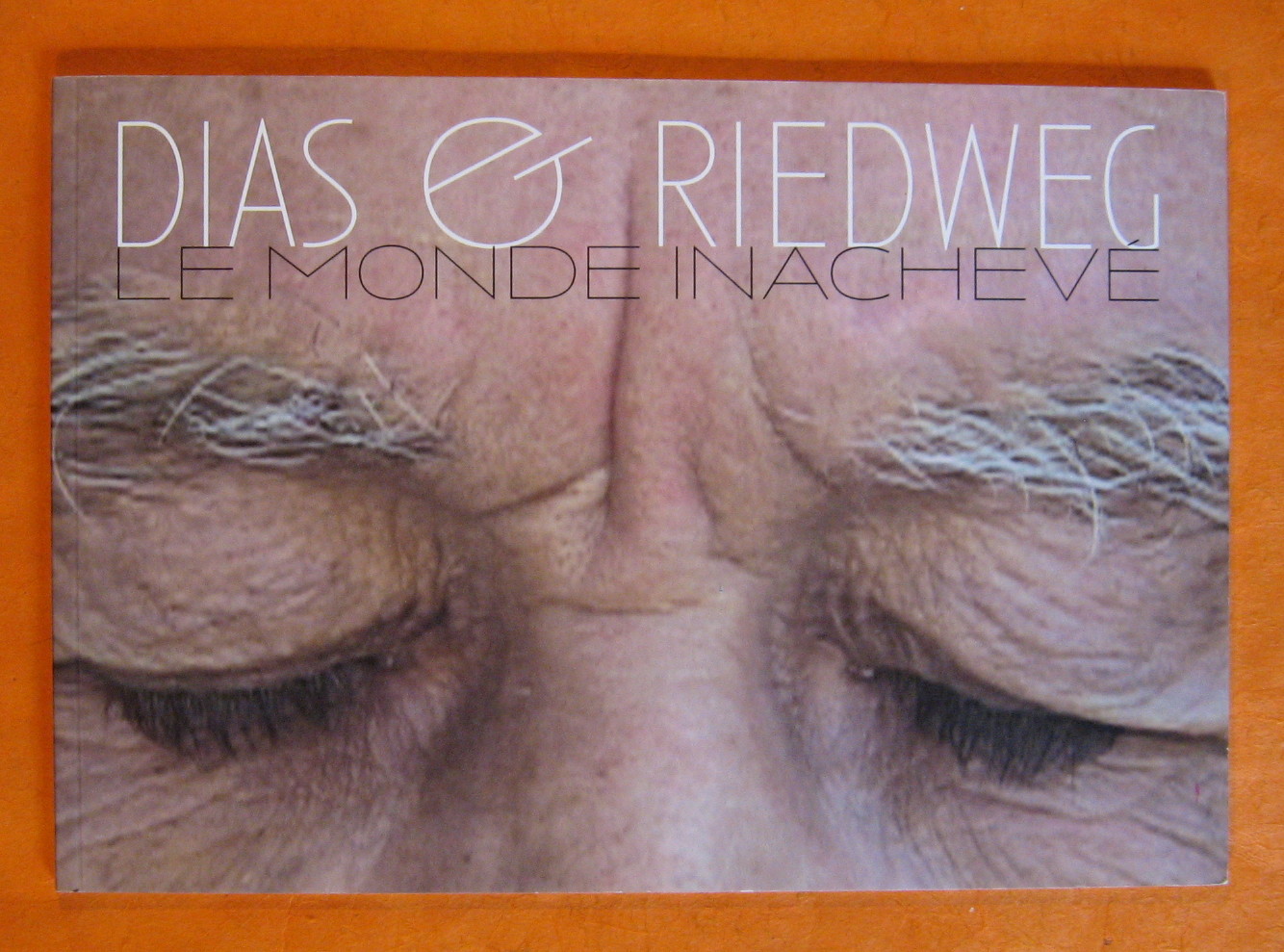 Image for Dias & Riedweg:  Le Monde Inacheve