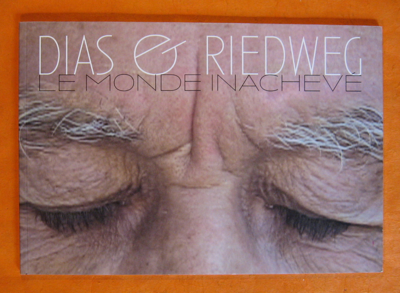 Image for Dias & Riedweg:  Le Monde Inacheve