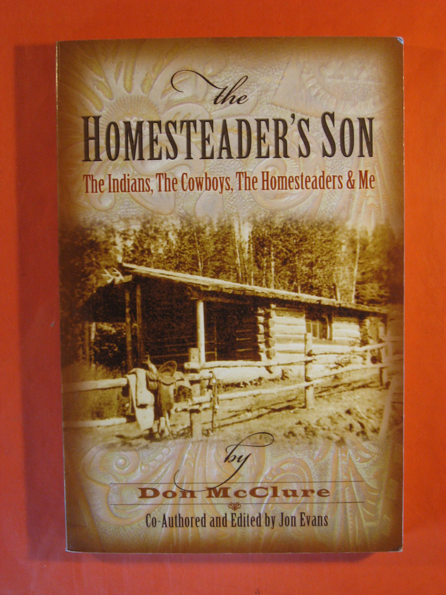 Image for The homesteader's son: The Indians, the cowboys, the homesteaders & me