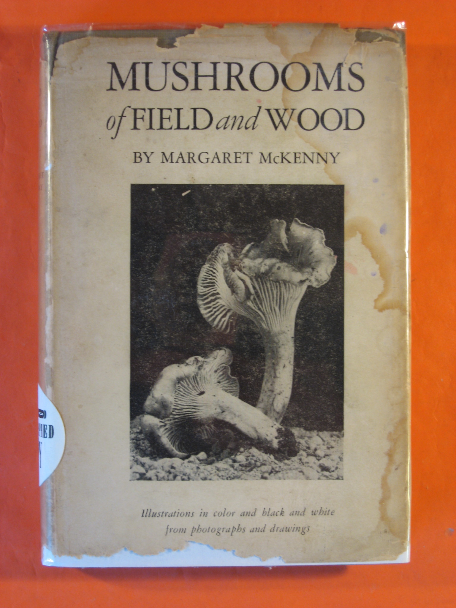 Image for Mushrooms of Field and Wood