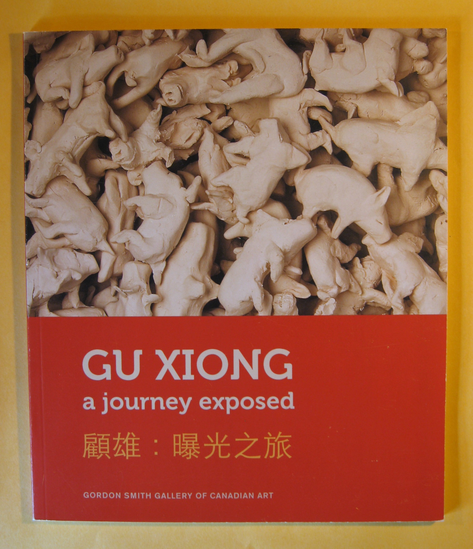 Image for Gu Xiong : a journey exposed