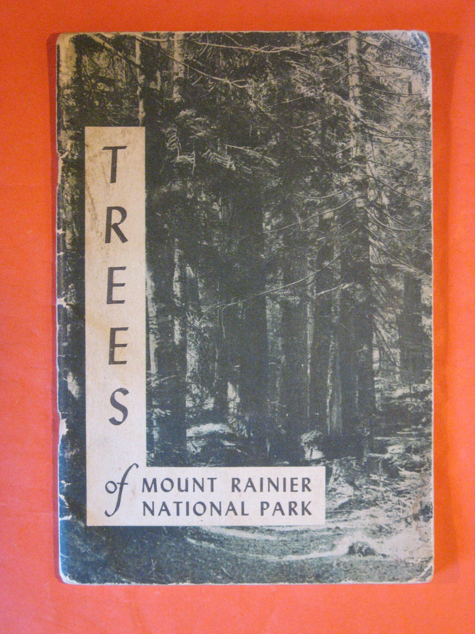 Image for Trees of Mount Rainier National Park