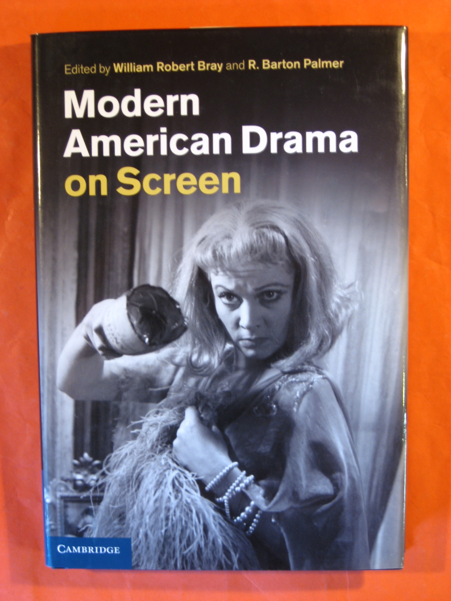 Image for Modern American Drama on Screen
