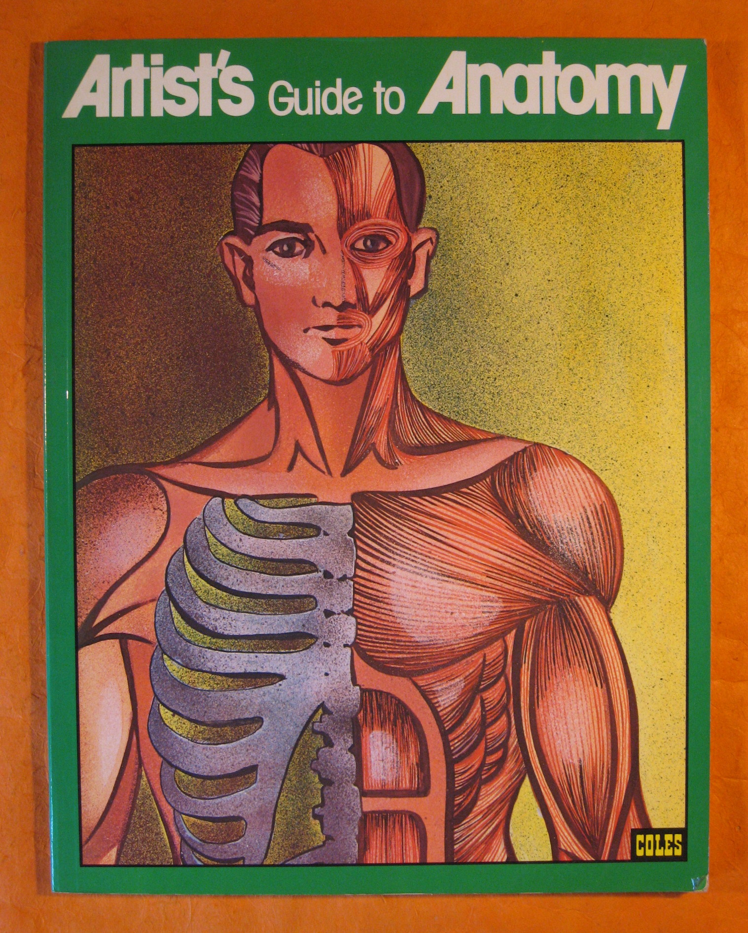 Image for Artist's Guide to Anatomy