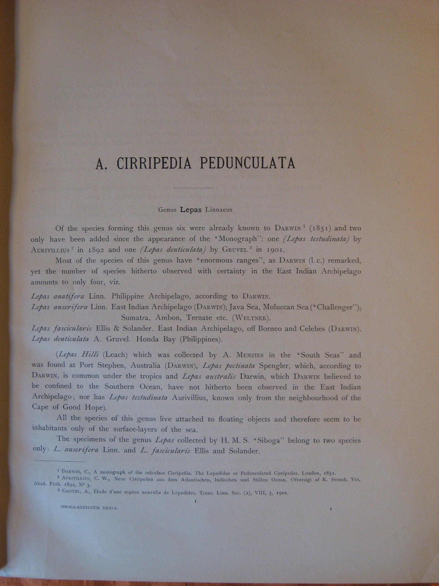 Image for A. Cirripedia Pedunculata