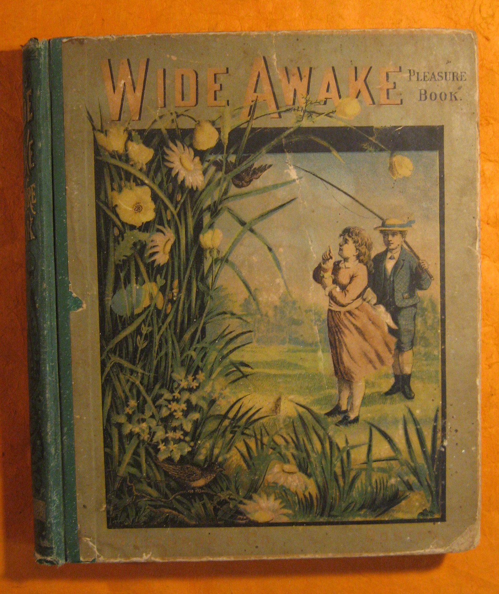 Image for Wide Awake Pleasure Book