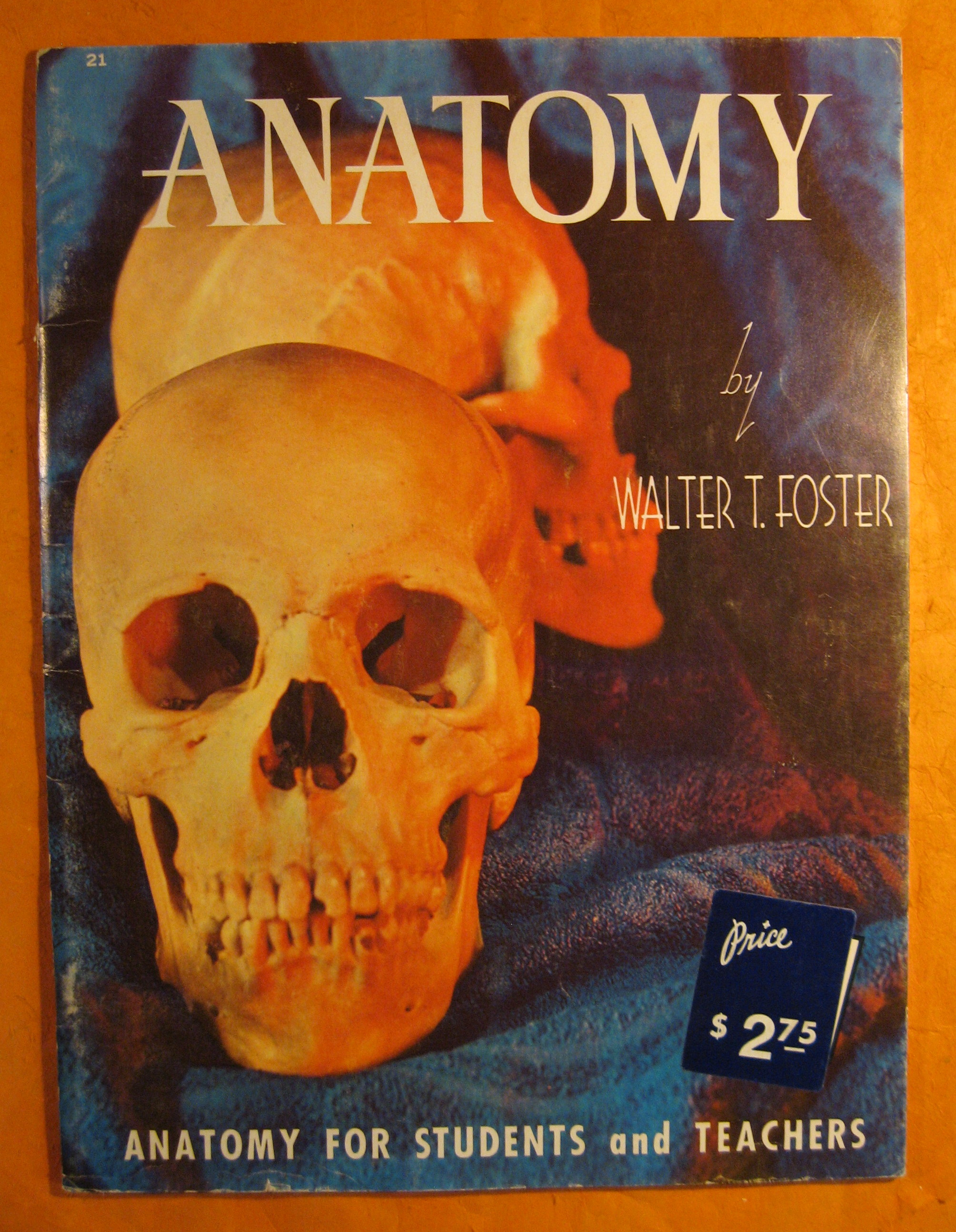 Image for Anatomy