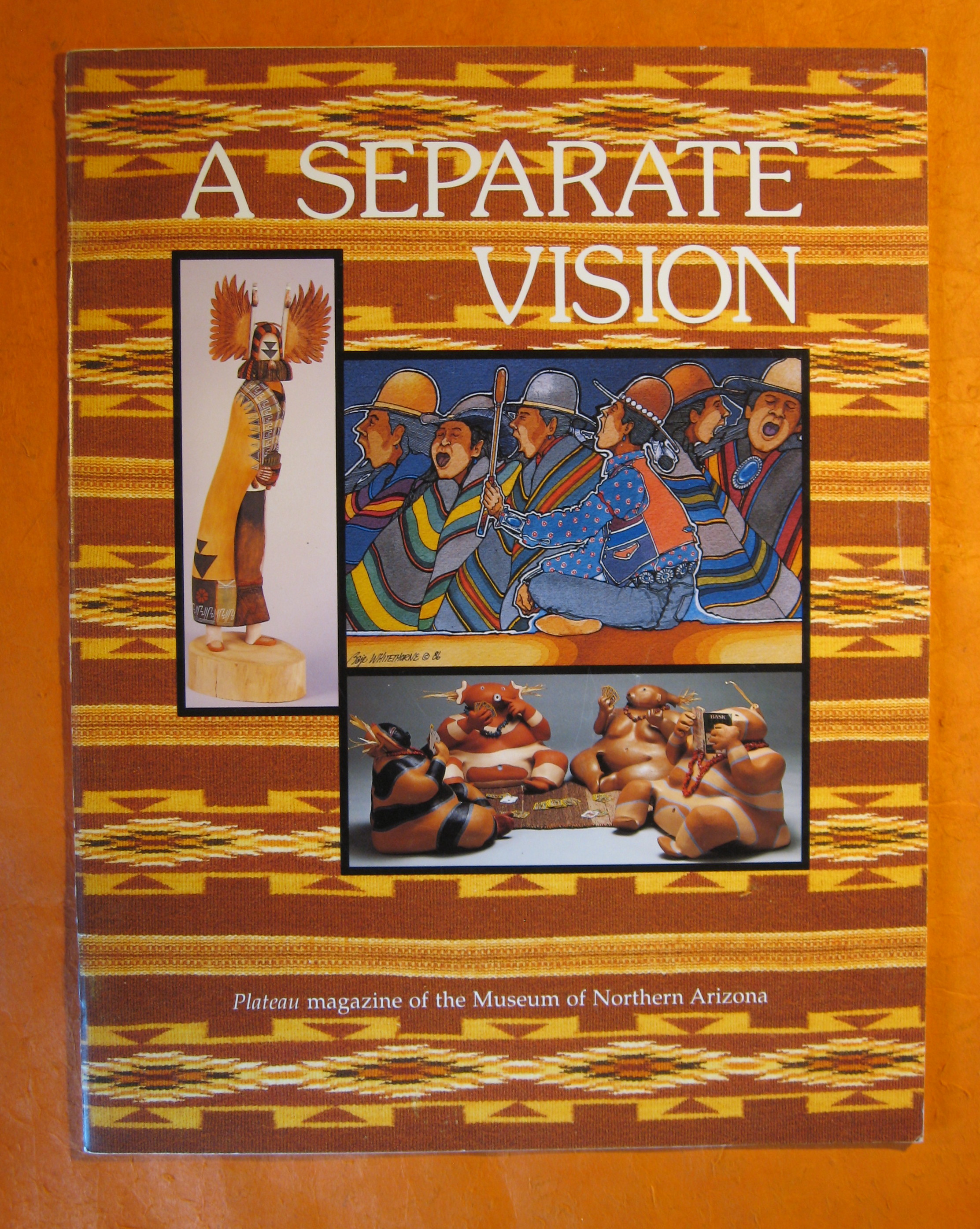 Image for A Separate Vision (Plateau Magazine, Volume 60, Number 1)