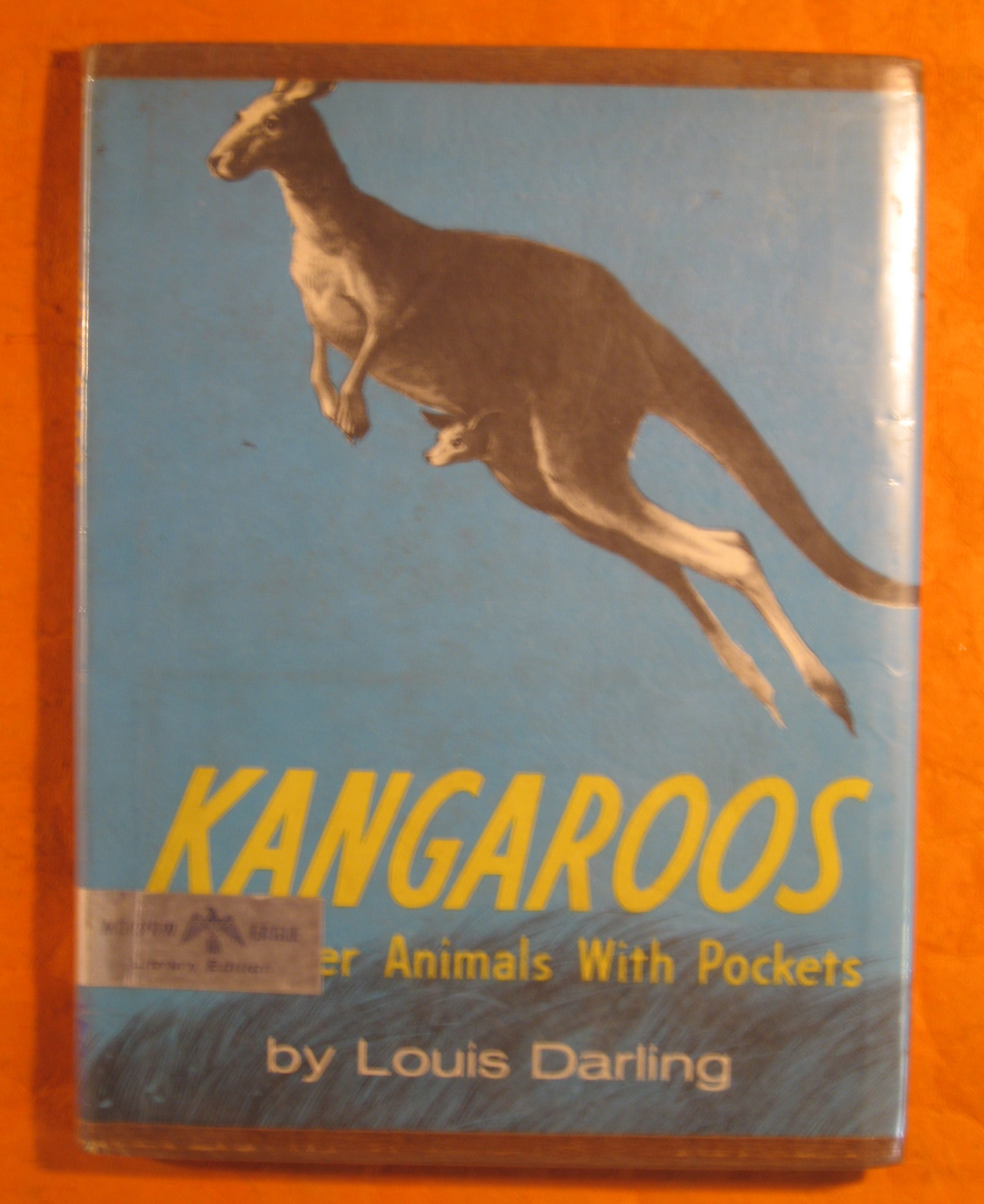 Image for Kangaroos and Other Animals with Pockets