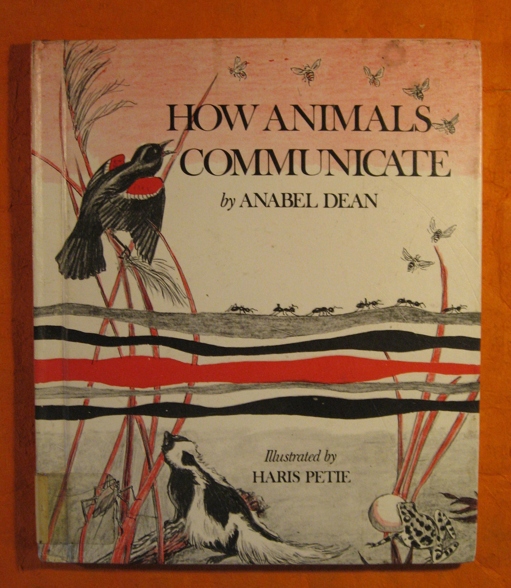 Image for How Animals Communicate