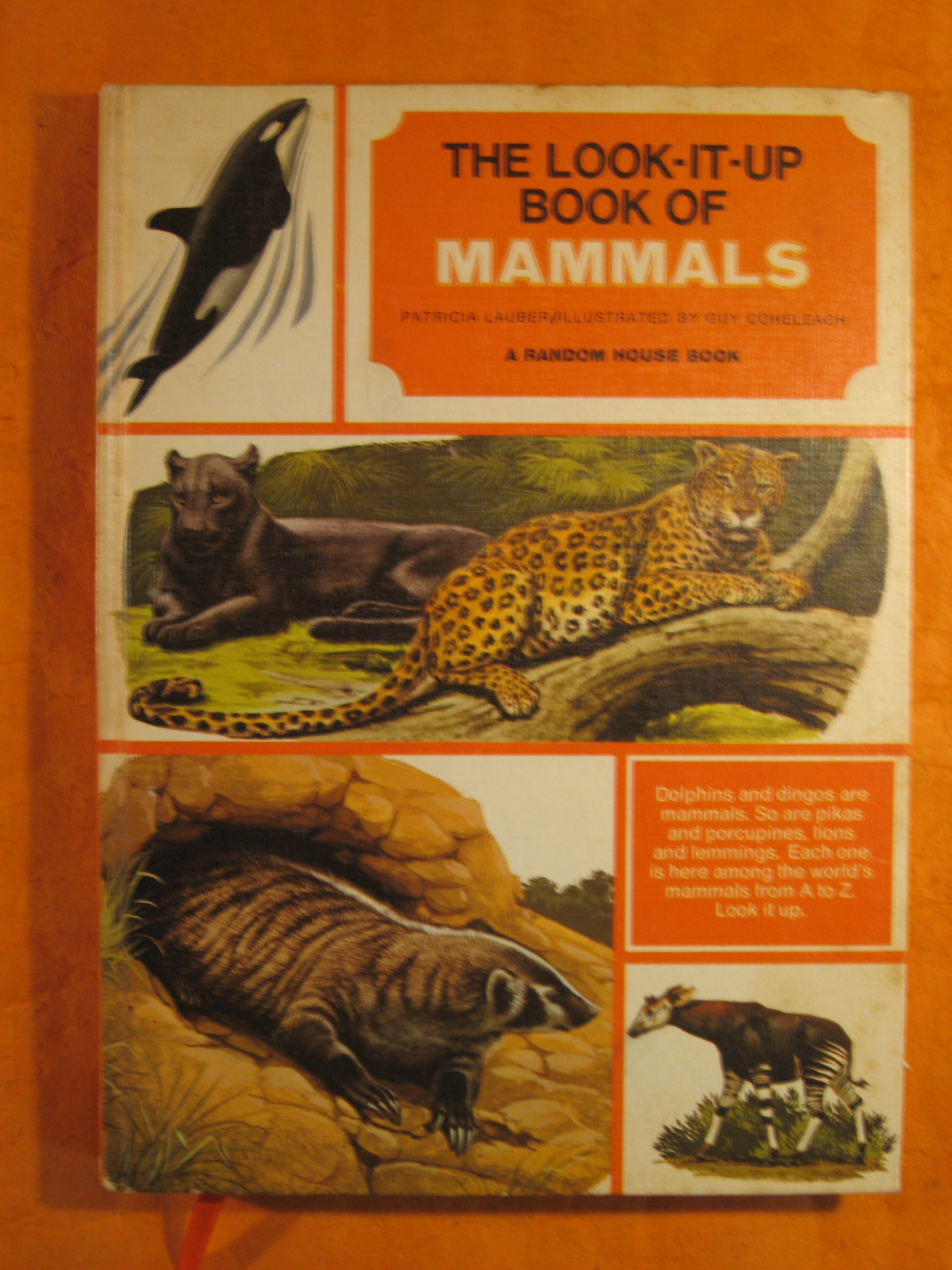 Image for Blank Journal (Look-It-Up Book of Mammals)