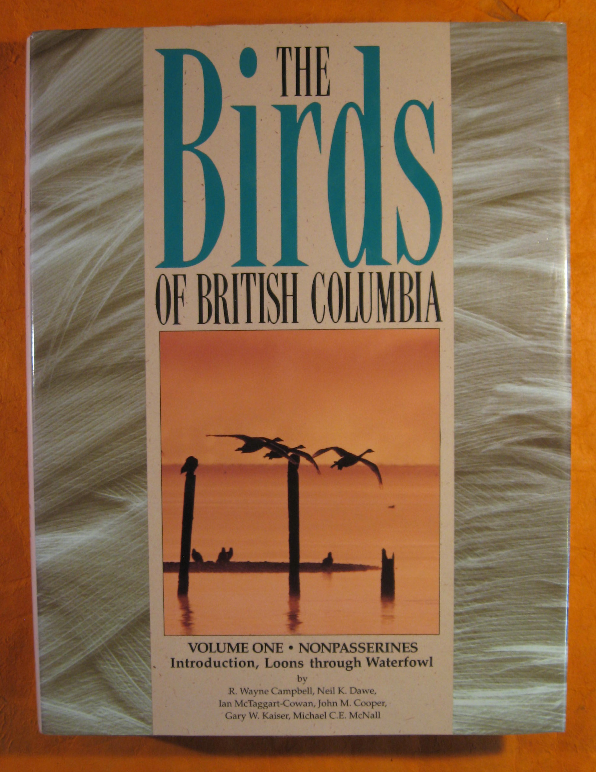 Image for The Birds of British Columbia Volume One:  Nonpasserines; Introduction, Loons Through Waterfowl